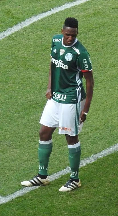 Yerry Mina